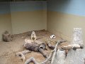 April2008 072